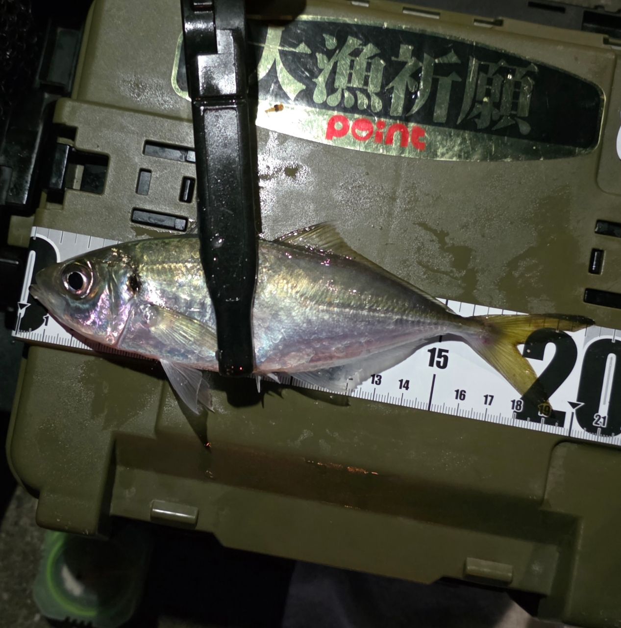 Gamakatsu ラグゼ パックスタイル A4 S49FL-solidの釣果一覧 | 本音の