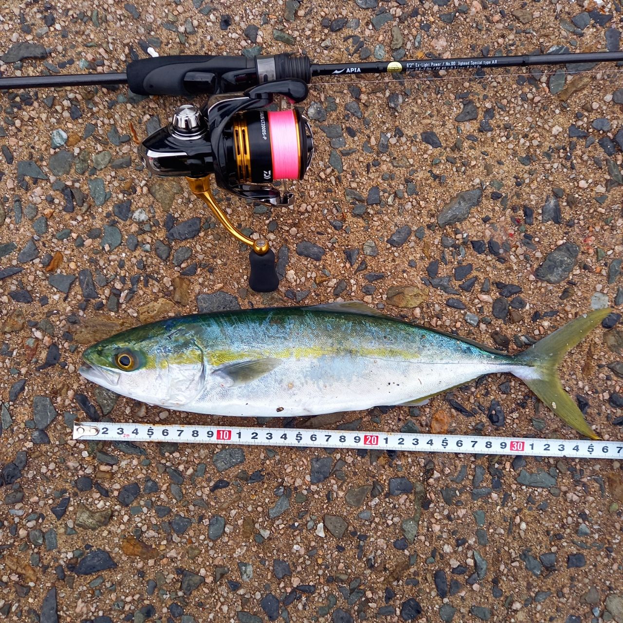 APIA グランデージ ライト 62の最安値・インプレ・釣果 | 本音の口コミ