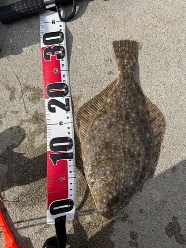 大浜漁港（宮戸島）