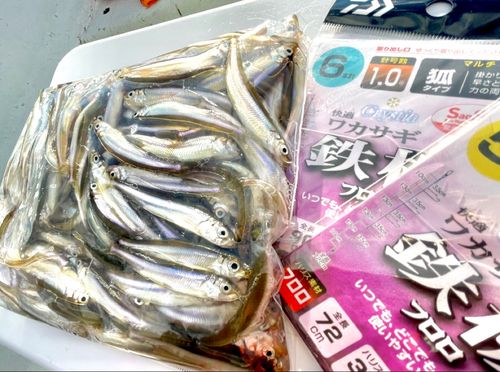 ワカサギの釣果