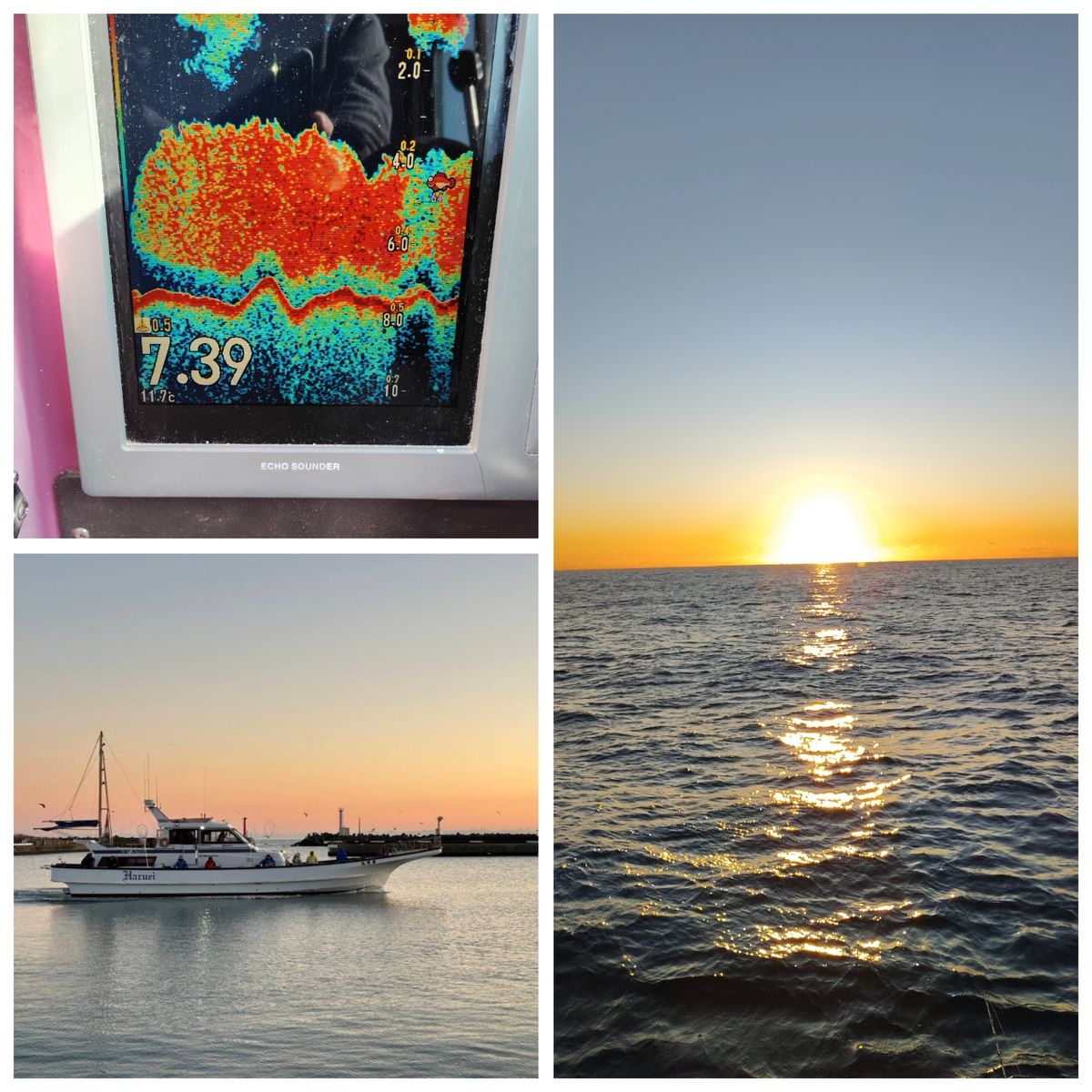 春栄丸･白川永一さんの釣果 2枚目の画像