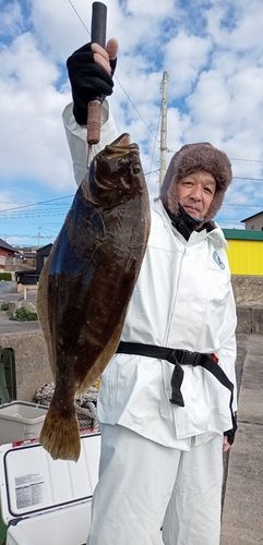 ヒラメの釣果