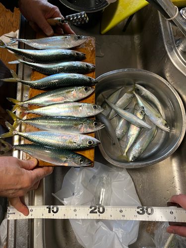 泉佐野食品コンビナート