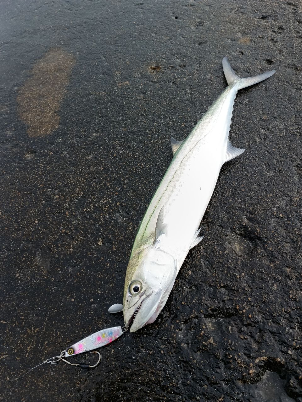 APIA 21フージン'RS 93Mの最安値・インプレ・釣果 | 本音の口コミ