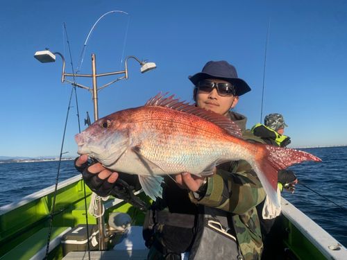 マダイの釣果