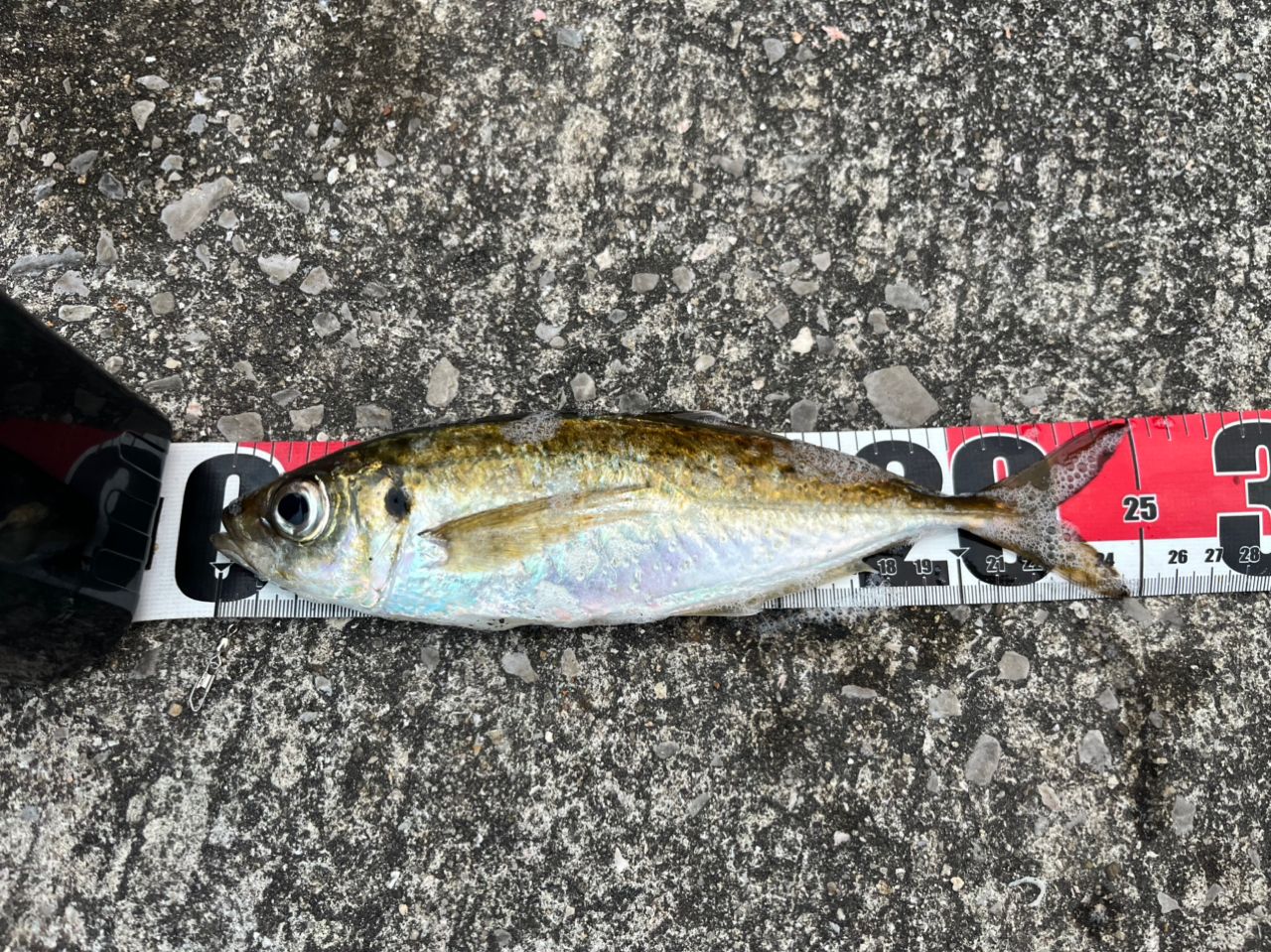 OLYMPIC 23コルト UX 23GCORUS-612L-HSの最安値・インプレ・釣果