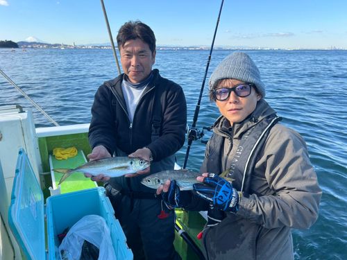 マアジの釣果