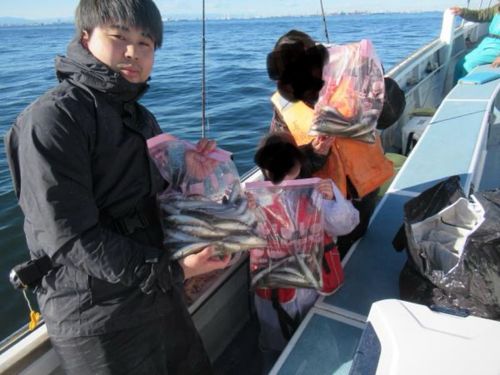 シロギスの釣果