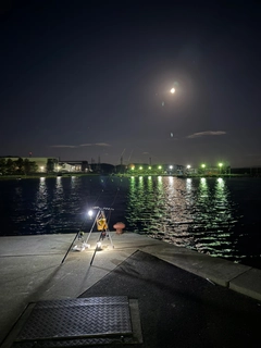 アナゴの釣果