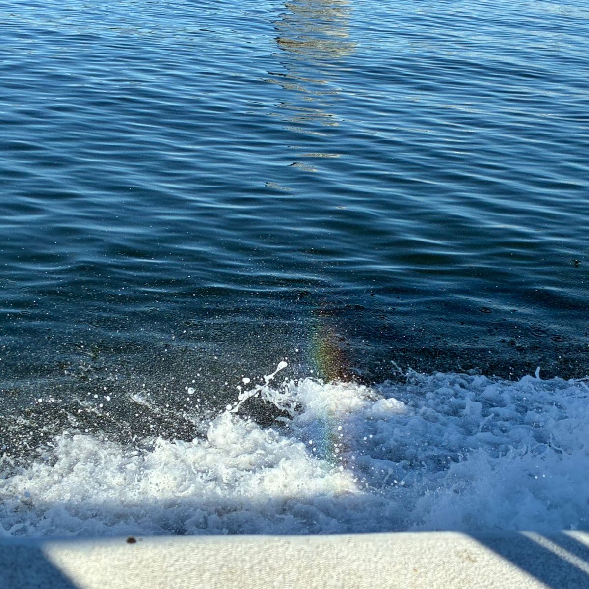 アジつりたいさんの釣果 3枚目の画像