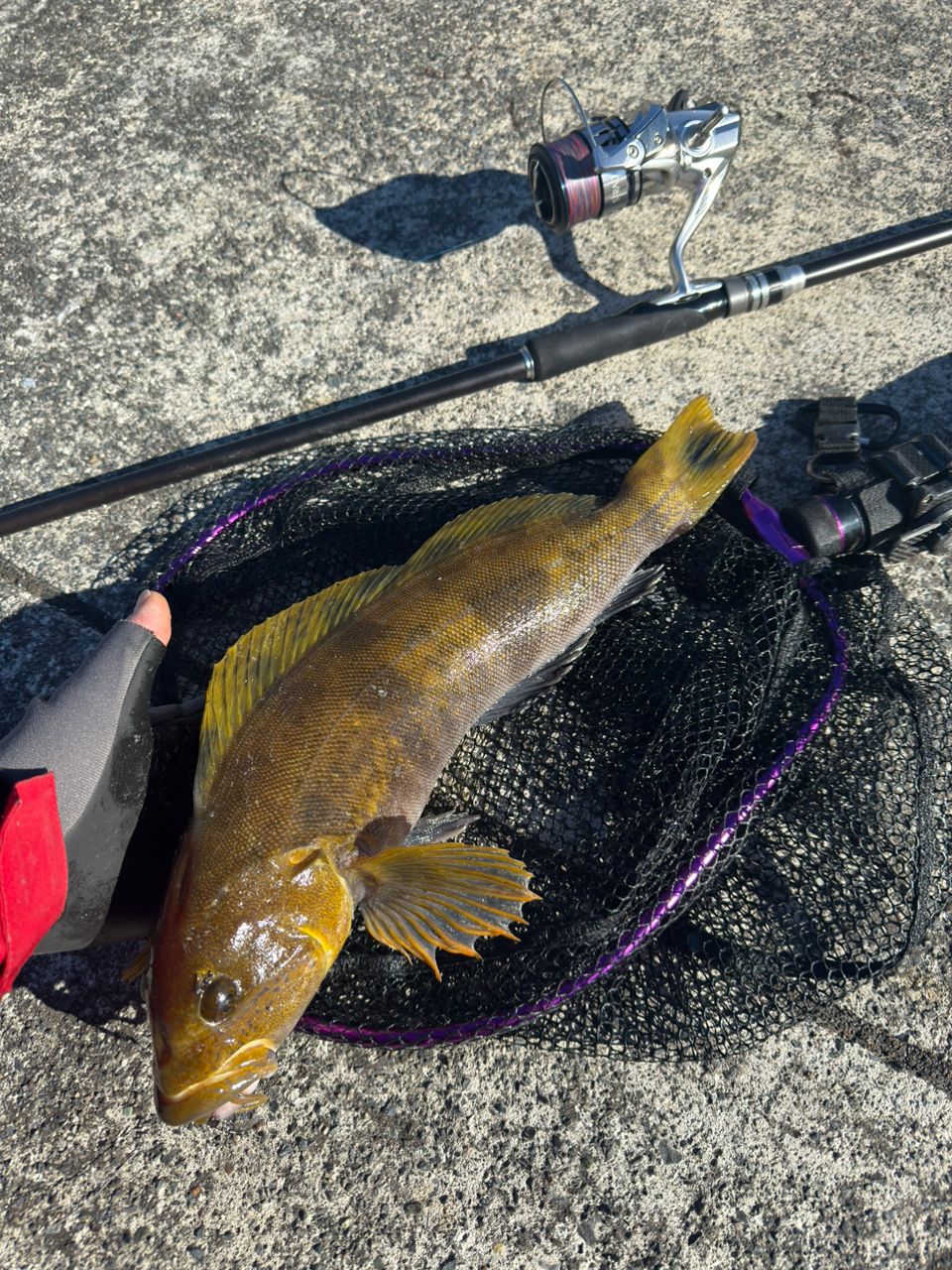 ハードロッカー　BB S92MH シマノ(SHIMANO) ハードロッカーBB S92MH 393685｜アウトドア用品