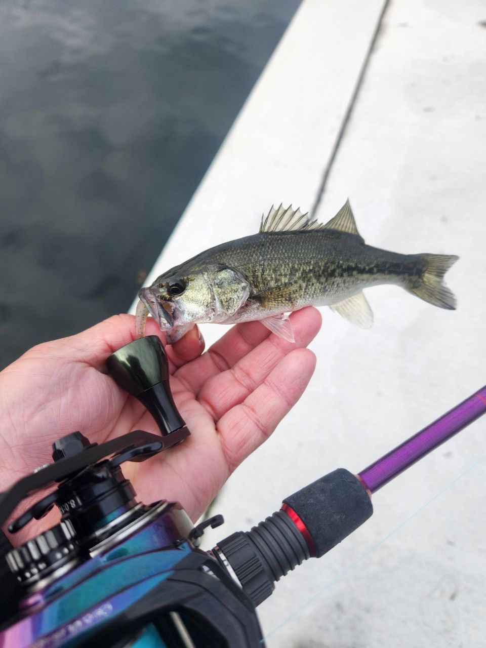 nove185 さんの 2026年01月04日のブラックバスの釣り・釣果情報(滋賀県