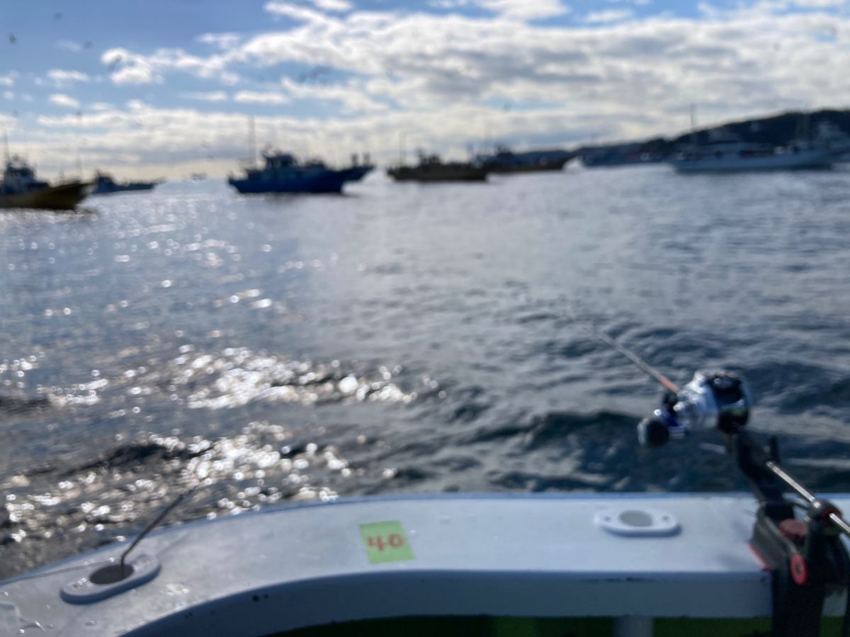 アングラー99984426うっかりカサゴさんの釣果 1枚目の画像