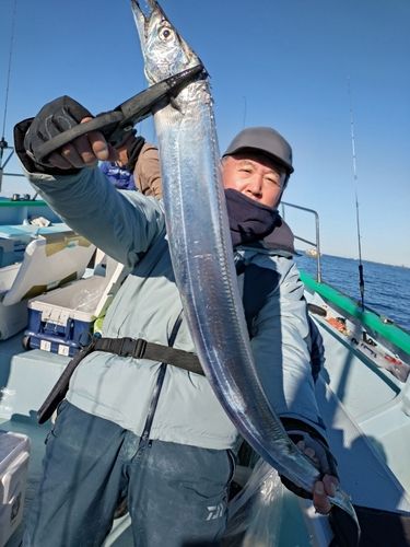 タチウオの釣果