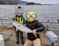 ブリの釣果