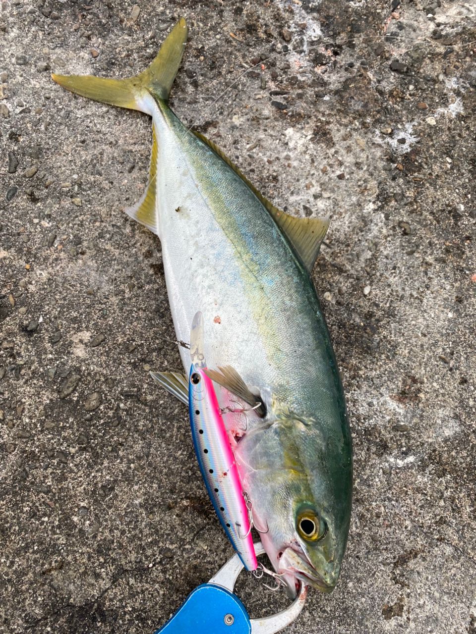 SHIMANO 20コルトスナイパー XR S96MLの最安値・インプレ・釣果 | 本音