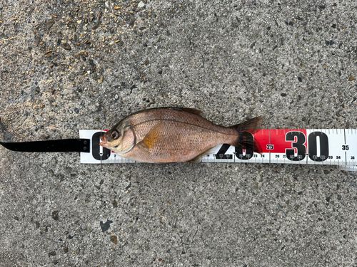 新舞子マリンパーク