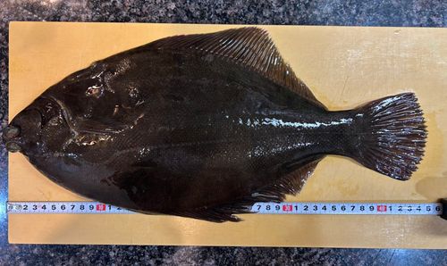 豊洲ぐるり公園