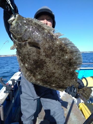 ヒラメの釣果