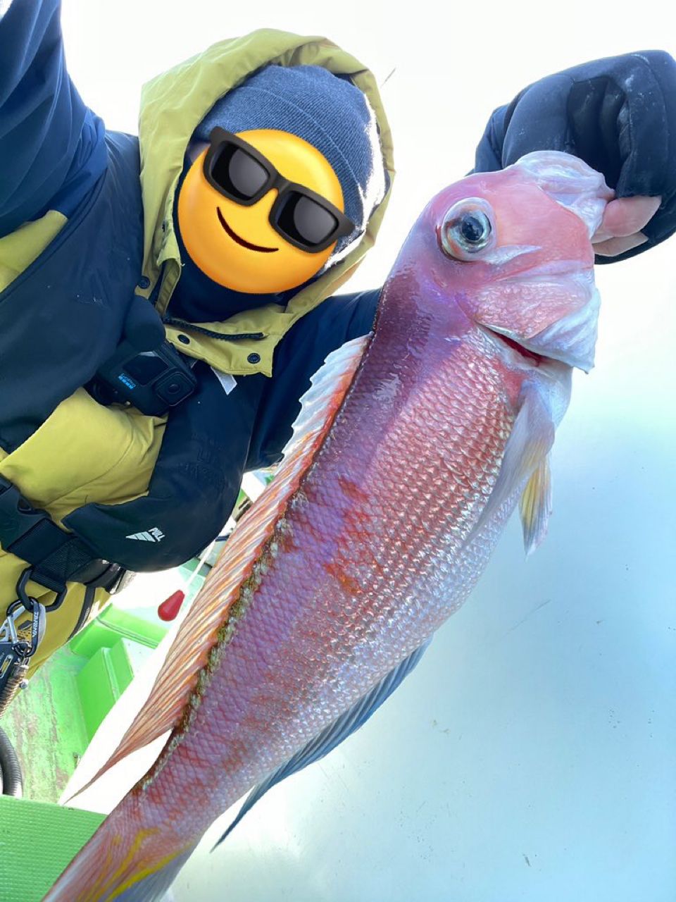 tihaさんの釣果 2枚目の画像