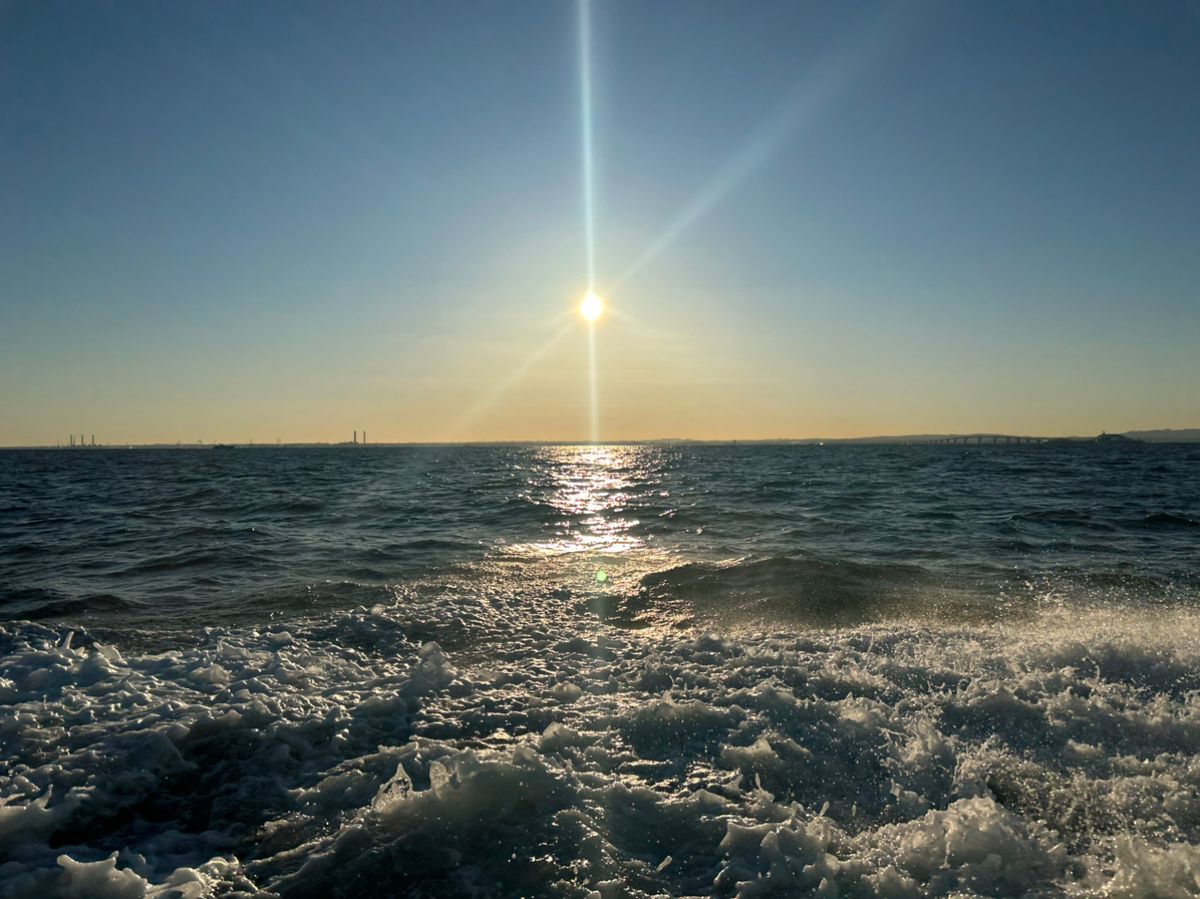 ひでそのさんの釣果 1枚目の画像