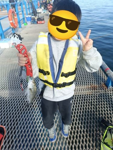 本牧海づり施設