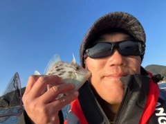 カワハギの釣果