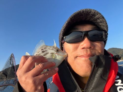 カワハギの釣果