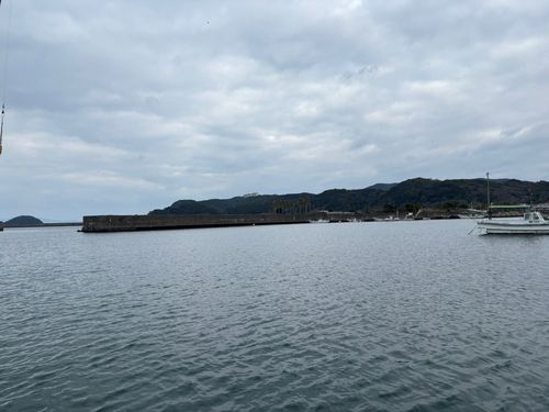 カワハギの釣果