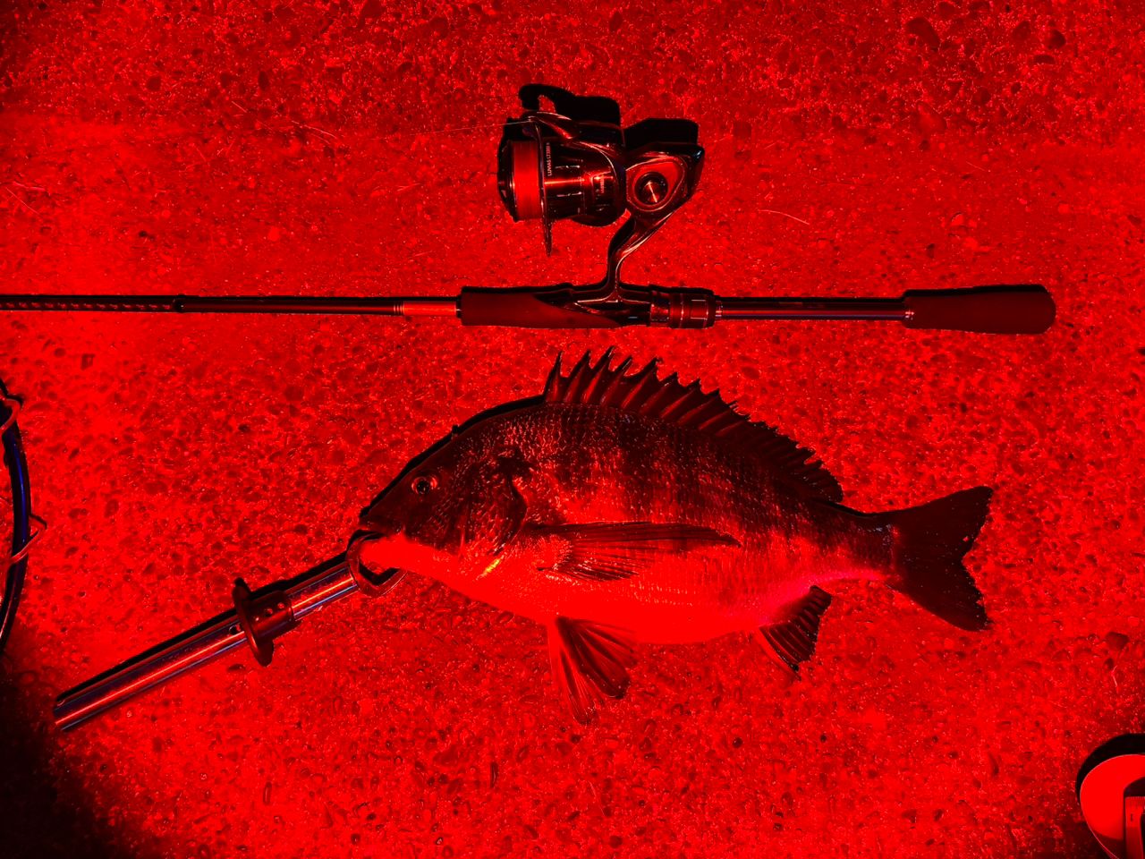 SHIMANO 23ムーンショット BS S610Mの最安値・インプレ・釣果 | 本音の