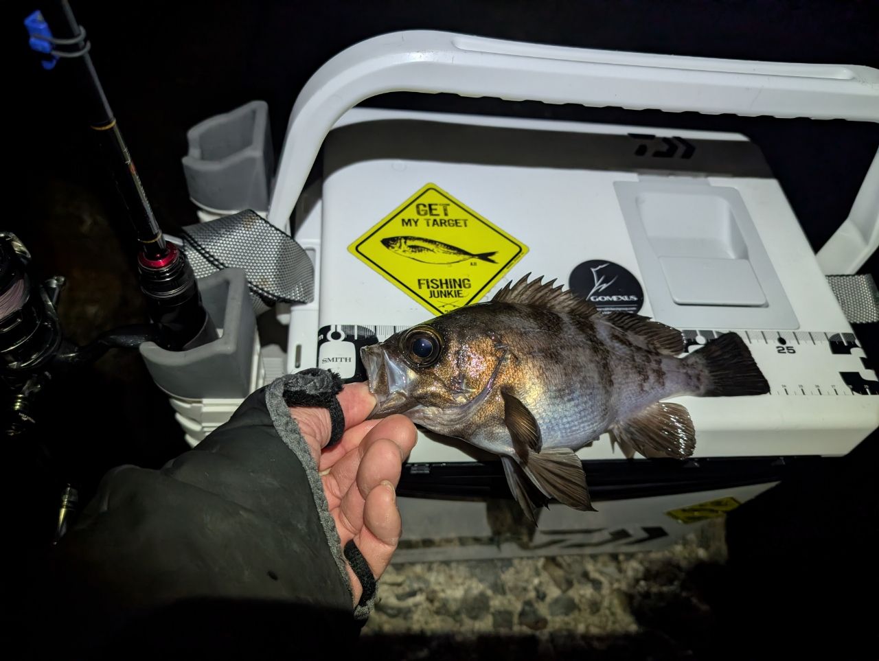 釣り人アングラー 釣り人アングラー ZX-4 さんの釣り人プロフィール - アングラーズ