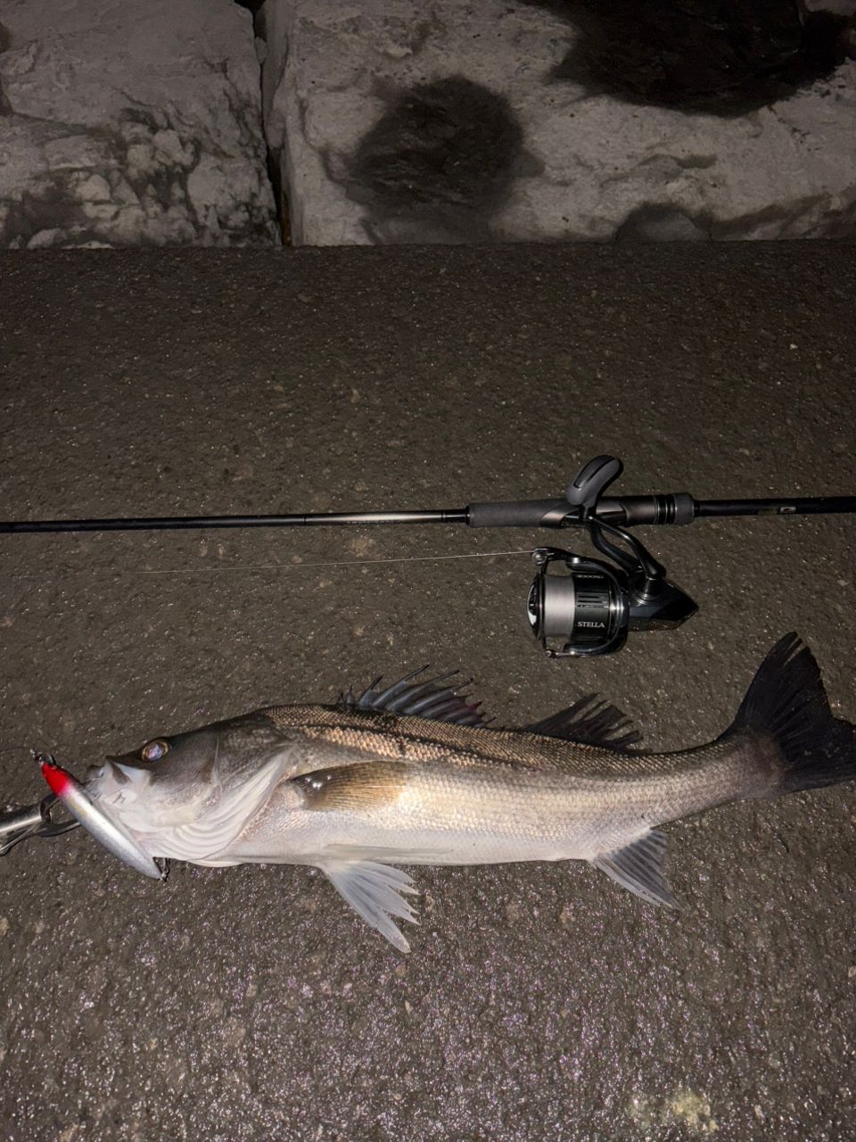 SHIMANO 23ディアルーナ S86MLの最安値・インプレ・釣果 | 本音の