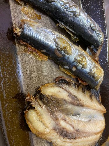 苫小牧東港一本防波堤