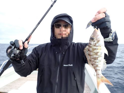 クチナジの釣果