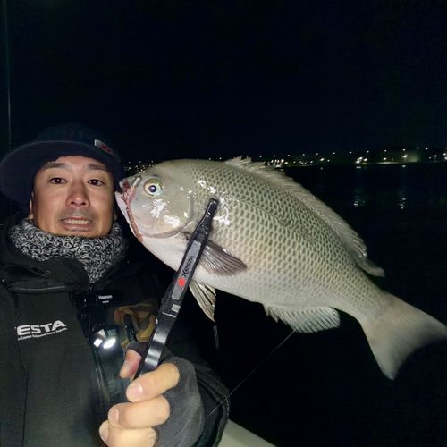 クチブトグレの釣果