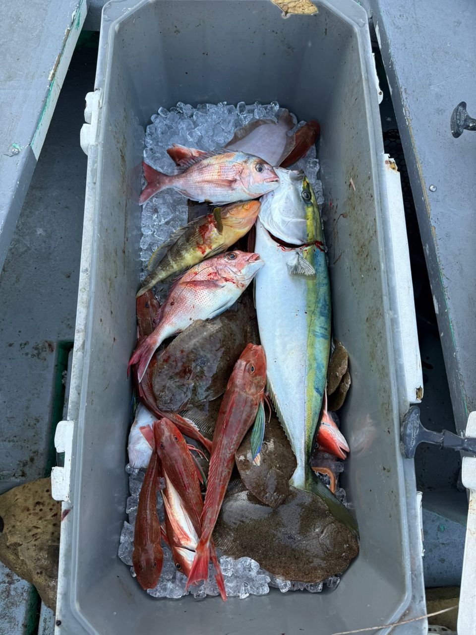 はっしぃ丸さんの釣果 1枚目の画像
