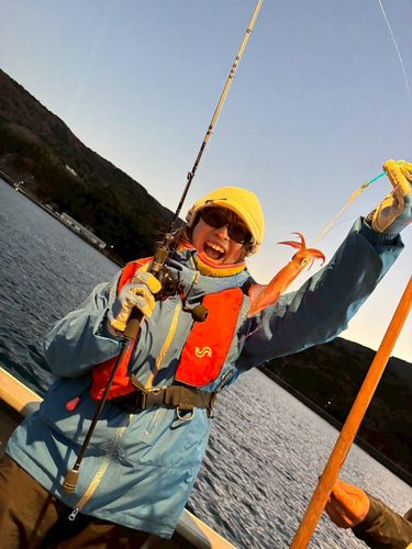 ヤリイカの釣果