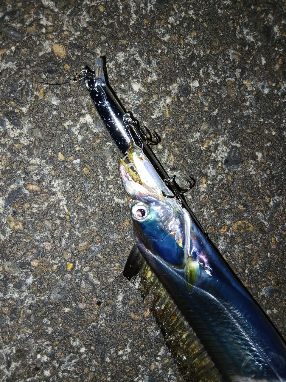 GCRAFT セブンセンスSR ミッドストリーム MSS-972-SRの最安値