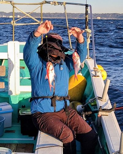 キンメダイの釣果