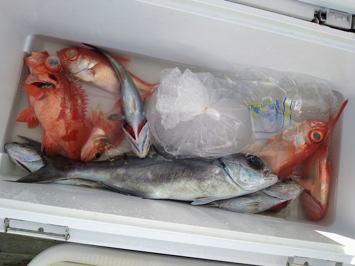 浜田丸さんの釣果 3枚目の画像