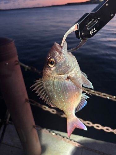 小名浜港アクアマリンふくしま周辺