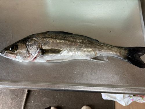 千葉港中央埠頭