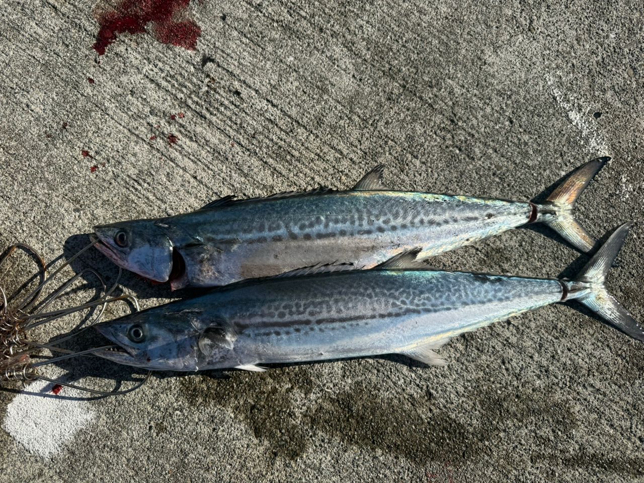 海人様　シマノ 19 コルトスナイパー エクスチューン S106MH/PS 美品 海人様 シマノ 19 コルトスナイパー エクスチューン S106MH/PS 美品