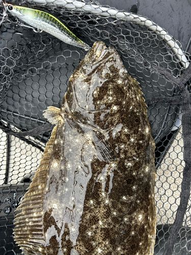 東京湾（富津〜金谷）