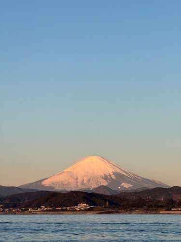 ホウボウの釣果