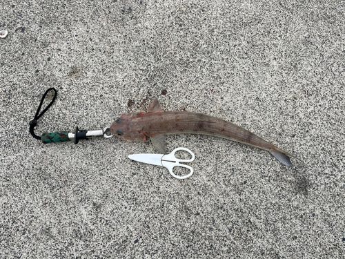 鞠山海遊パーク