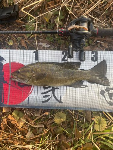 荒川河川敷運動公園