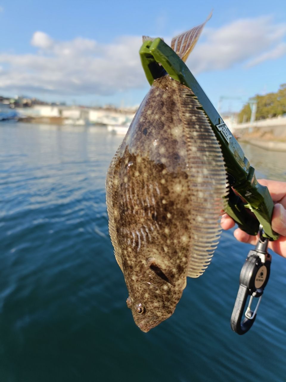 MajorCraft 鯵道 5G AD5-S582L/AJIの最安値・インプレ・釣果 | 本音の