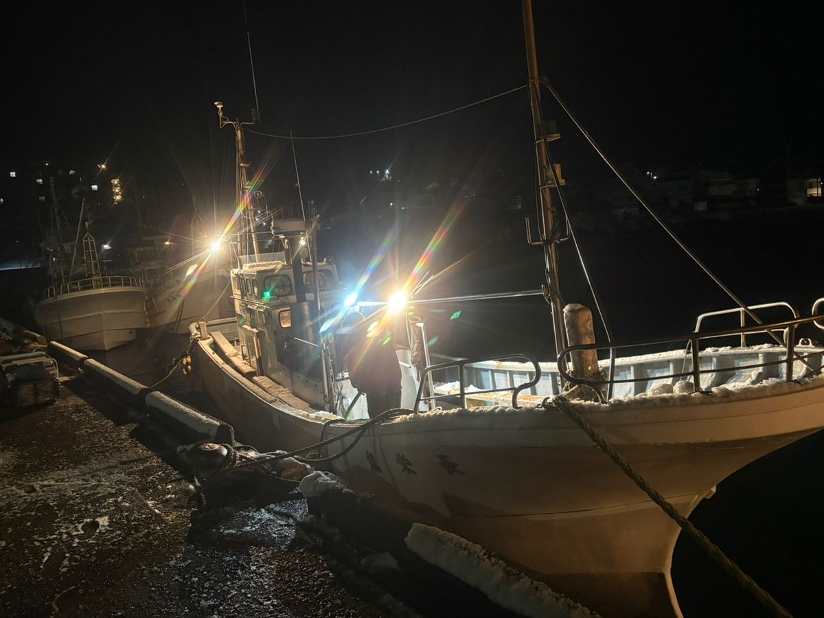 いつまでもビギナー（しもちゃん）さんの釣果 2枚目の画像