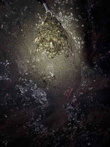 大浜海岸（静岡）